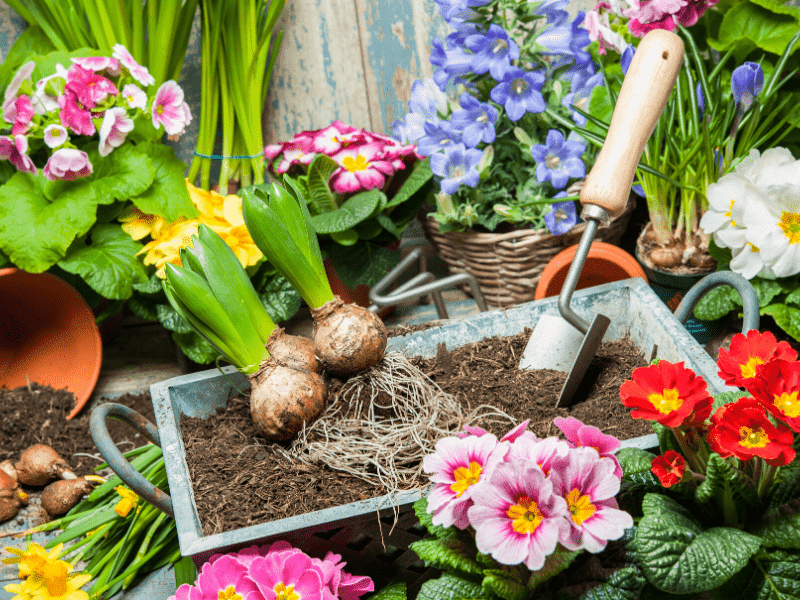 aménagement du jardin pendant le confinement