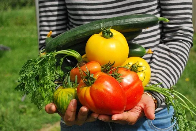 Jardin et écologie