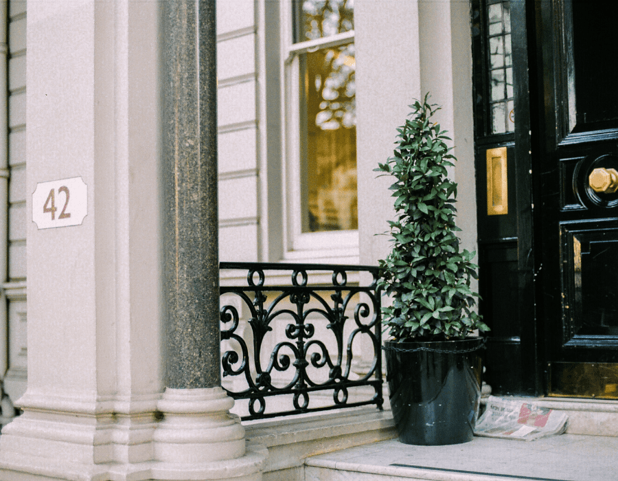 plantes et fleurs pour une entrée