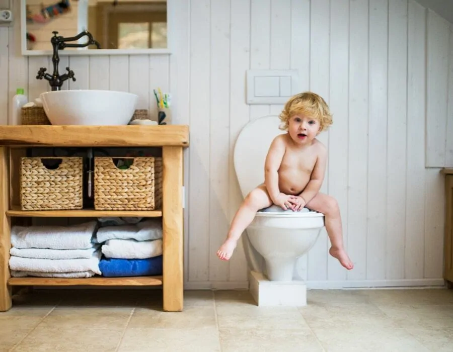 deco toilettes