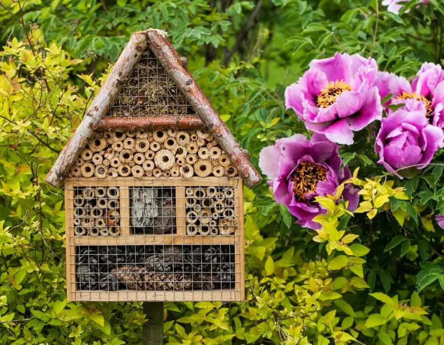 Hôtel à insectes