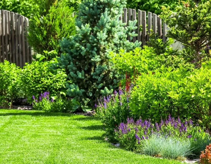 Jardin, abeilles et pollinisation