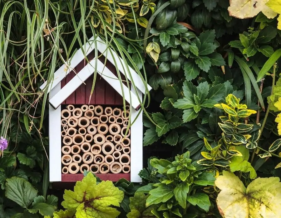 Hotel à insectes