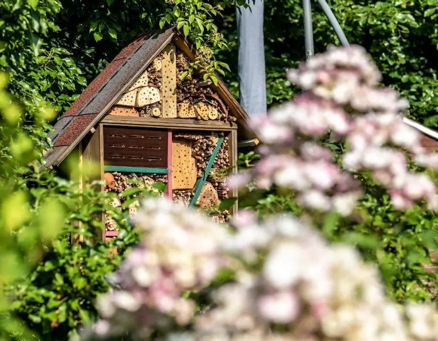 Jardin et hotel à insectes