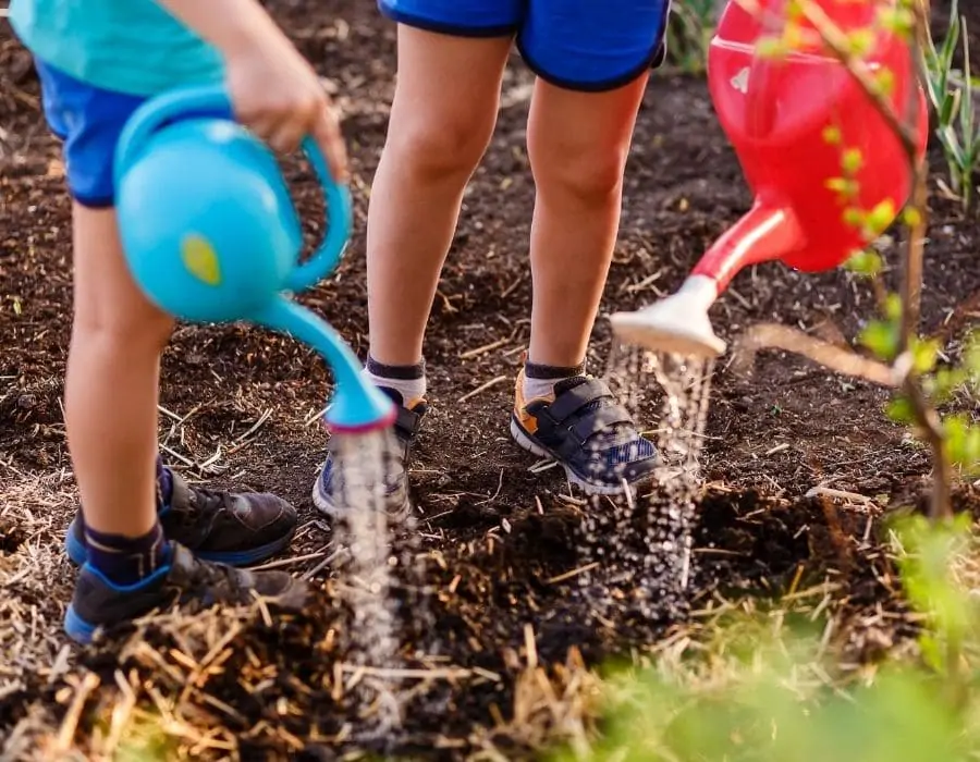 Un potager pour les enfants dans votre jardin