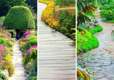 L’allée de jardin sous les spotlights