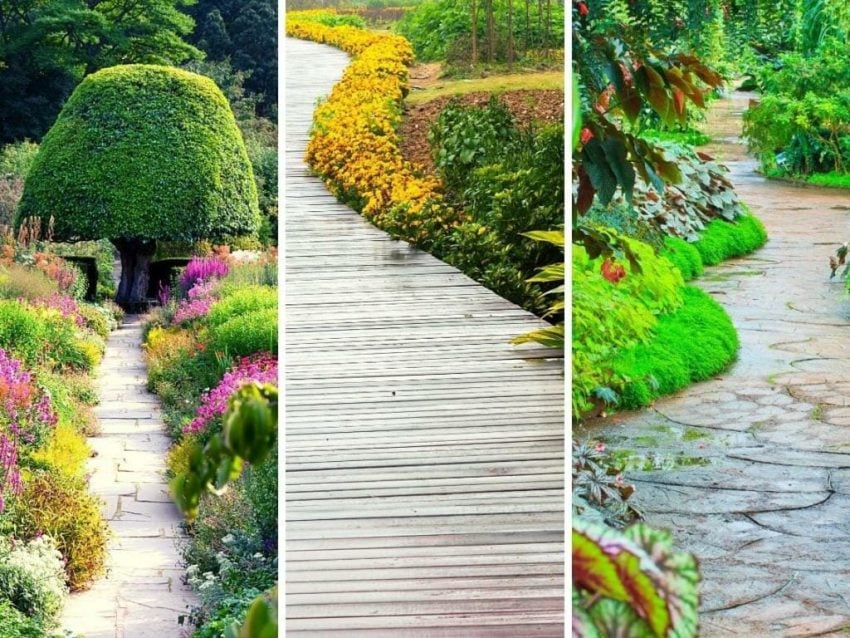 L’allée de jardin sous les spotlights