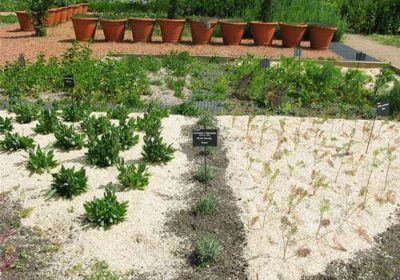 Astuces et solutions écolo et bio contre les mauvaises herbes