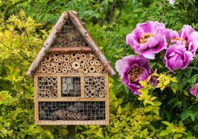Construire son propre hôtel à insectes