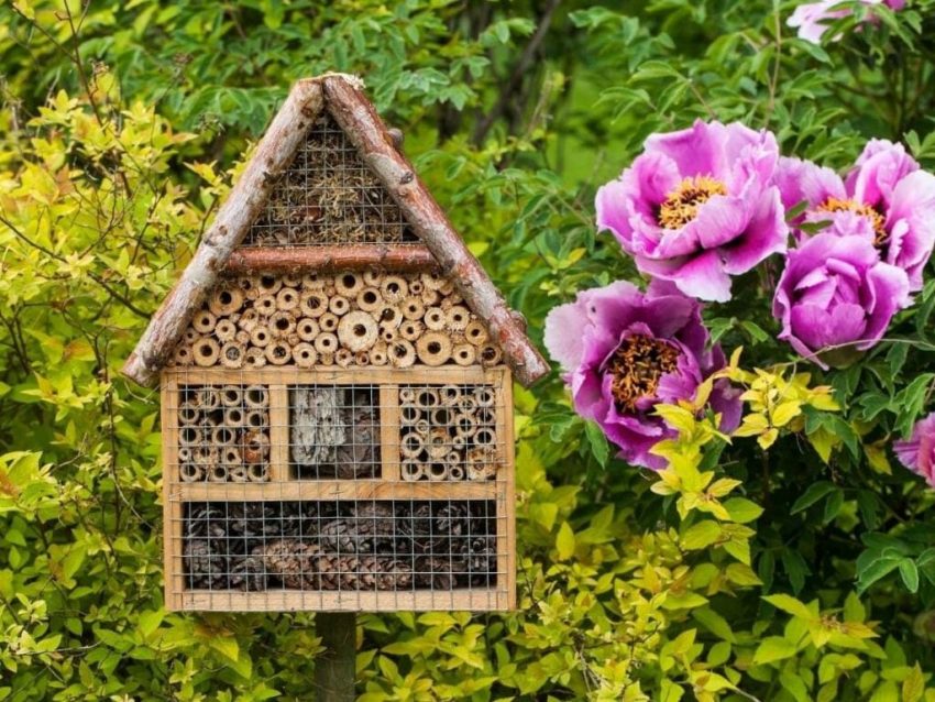 Construire son propre hôtel à insectes