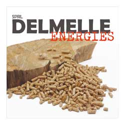 delmelle energies