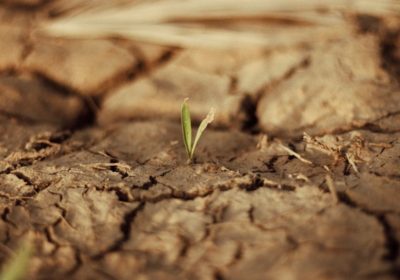 Sécheresse : quelles solutions durables ?
