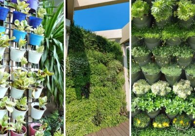 Jardin suspendu : l’atout végétal de vos petits espaces