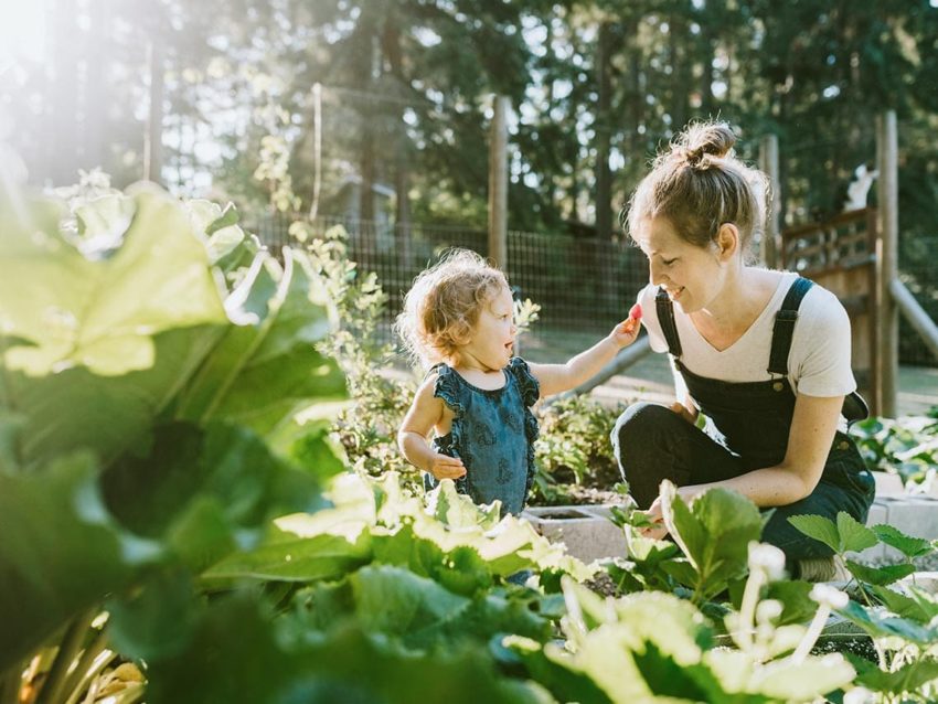 Welcome April : Les légumes à semer dans son potager