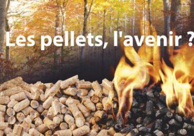 Les pellets, l&rsquo;avenir ?