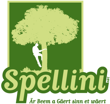 logo spellini