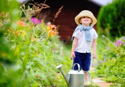 Alerte pelouse jaune : que faire ?