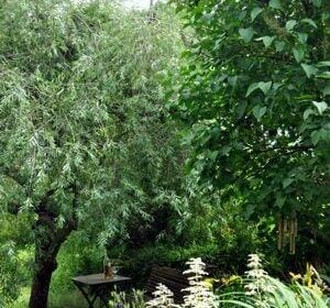Terrasse, cour ou jardin, réalisez votre cocon de bien-être !