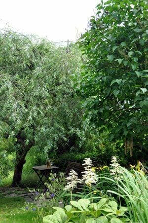 Terrasse, cour ou jardin, réalisez votre cocon de bien-être !