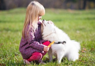 Se débarrasser des tiques dans son jardin naturellement