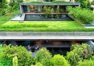 Une toiture végétale : 5 bénéfices